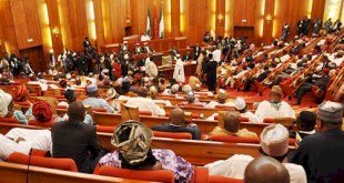 SENATE GIVES MANDATE TO END FUEL SCARCITY