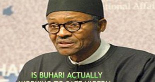 IS BUHARI ACTUALLY WORKING TO SAFE NIGERIA.?