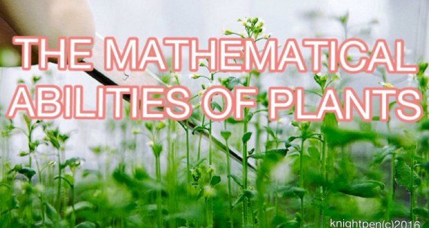 THE MATHEMATICAL ABILITIES OF PLANTS