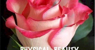 PHYSICAL BEAUTY; WHY DO WE APPRECIATE IT
