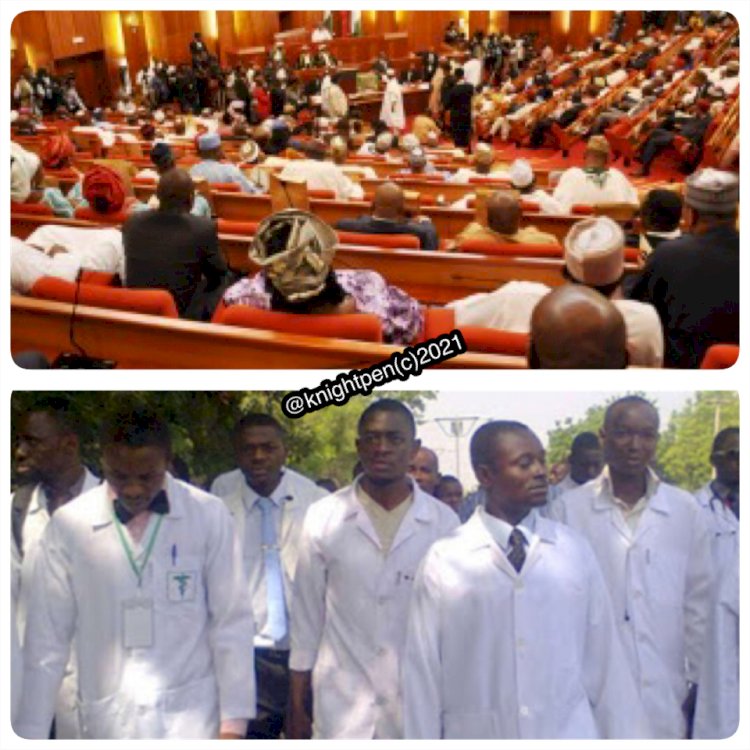 CHECKMATING NIGERIAN LAWMAKERS AND IT FAULTY SYSTEM 