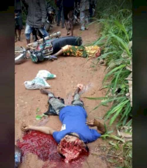 TERRIBLE DAY IN IFE AS EIGHT LAND GRABBERS WERE KILLED IN IFE RESERVE FARM